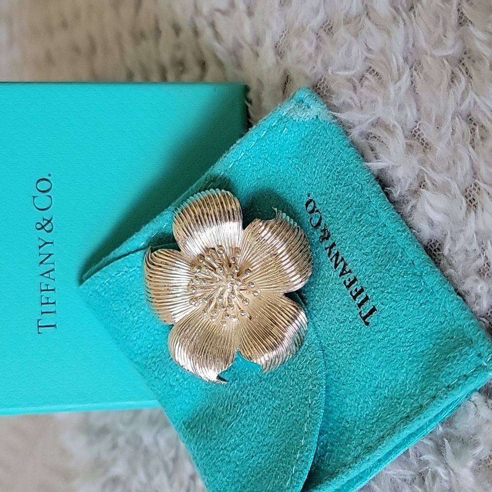 Tiffany&Co. Pin